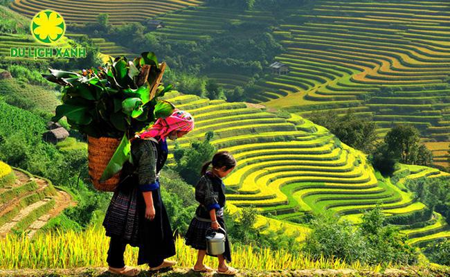 Tour Mùa Thu Tây Bắc:  Hà Nội Sapa Fansipan 3 ngày 2 đêm