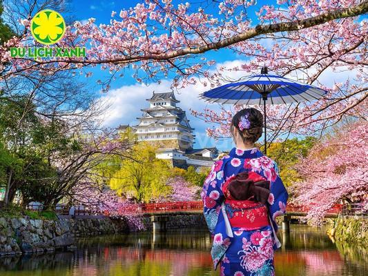 Tour du lịch hoa anh đào Nhật Bản 2024: Tokyo – Phú Sĩ – Nagoya – Kyoto – Osaka bay Vietnam Airlines