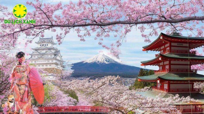 Tour Du Lịch Nhật Bản Mùa Hoa Anh Đào 2024 Tokyo – Hakone – Phú Sĩ – Nabana No Sato (Lễ Hội Ánh Sáng) - Kyoto – Osaka