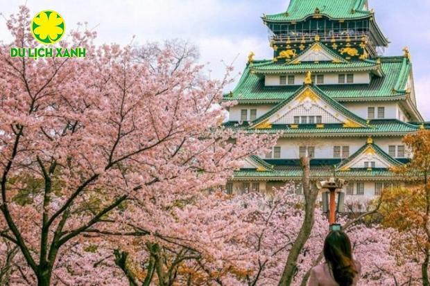 Tour Du Lịch Nhật Bản Mùa Hoa Anh Đào 2024 Narita – Tokyo – Yamanashi – Kyoto – Osaka