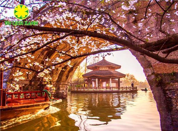 Tour Du Lịch Hoa Anh Đào Trung Quốc - Hà Nội - Thượng Hải - Hàng Châu - Vô Tích - Tô Châu - Bắc Kinh 7 ngày