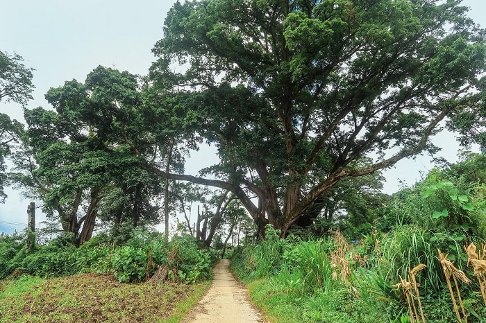 du lịch Hà Giang, Làng Cổ Hà Giang, Tour Hà Giang, Vẻ đẹp vùng cao Tây Bắc, Hà Giang Việt Nam