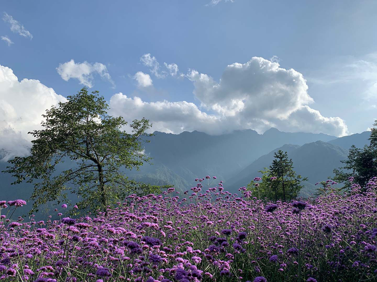 Du lịch Sapa, Tour Sapa, Tour du lịch Sapa