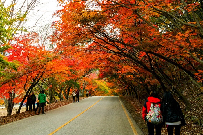 Tour du lịch Đà Lạt mùa thu 3 ngày, Tour mùa thu Đà Lạt