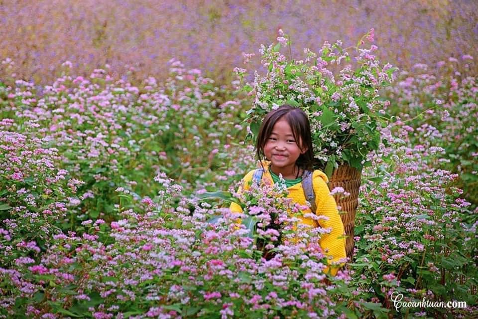 Tour du lịch Mùa thu, Du lịch Mùa thu