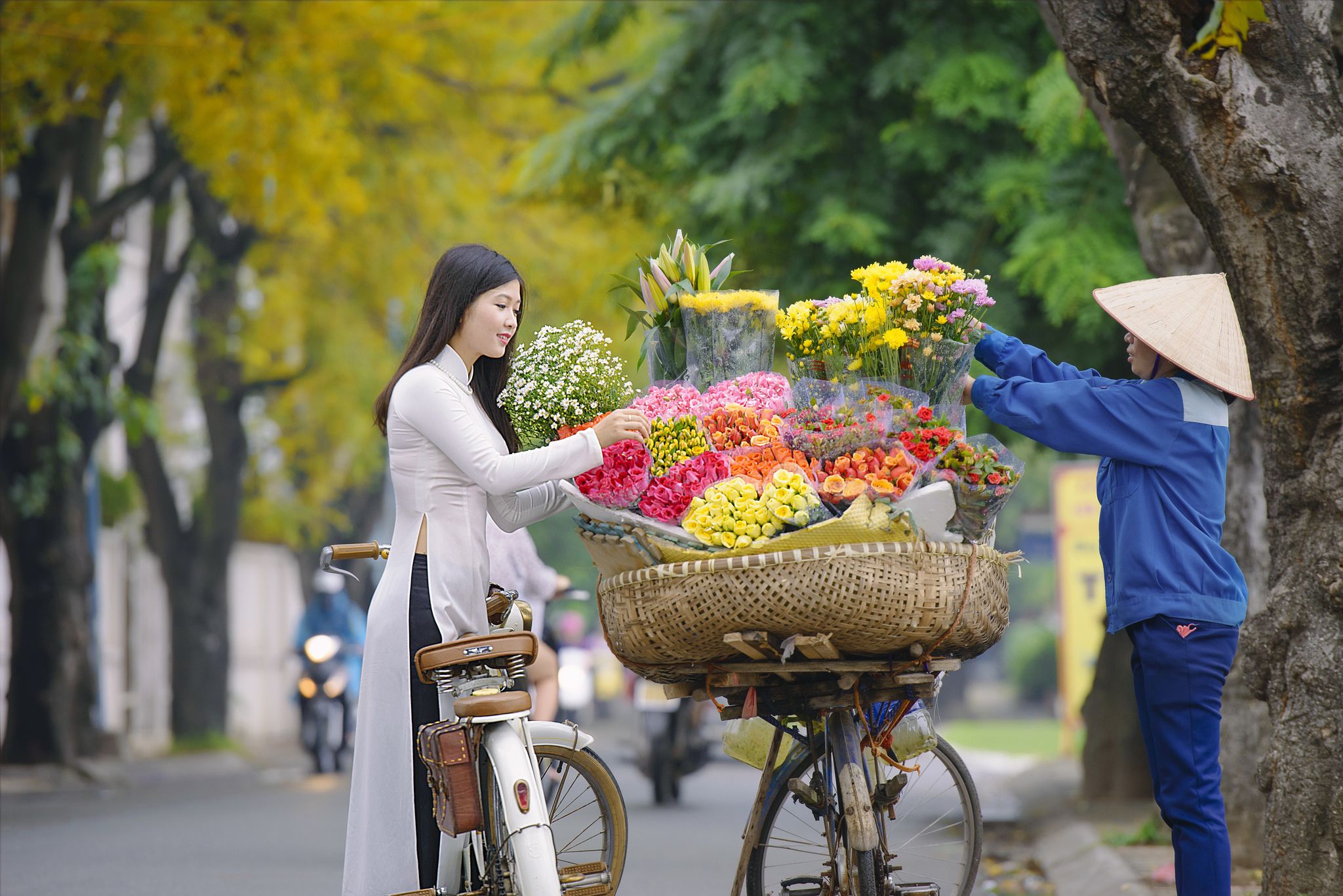 Tour du lịch Mùa thu, Du lịch Mùa thu