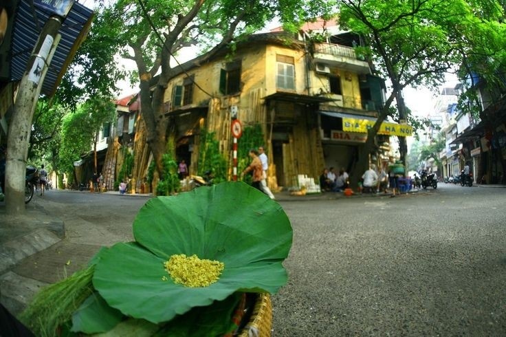 Tour du lịch Mùa thu, Du lịch Mùa thu