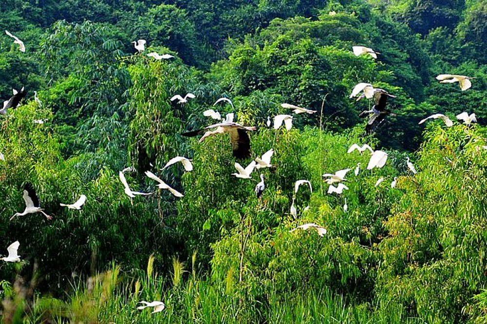 Tour Bạc Liêu, Tour khởi hành đi Bạc Liêu, Du Lịch Bạc Liêu, Tour du lịch Bạc Liêu, Lịch trình tour đi Bạc Liêu, Tour Bạc Liêu ghép đoàn, Tour đi Bạc Liêu, Du lịch Bạc Liêu uy tín, Tour Bạc Liêu cuối tuần