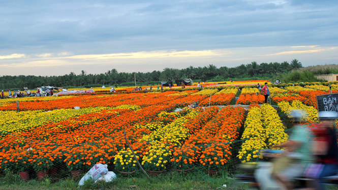 Tour Bến Tre, Tour khởi hành đi Bến Tre, Du Lịch Bến Tre, Tour du lịch Bến Tre, Lịch trình tour đi Bến Tre, Tour Bến Tre ghép đoàn, Tour đi Bến Tre, Du lịch Bến Tre uy tín, Tour Bến Tre cuối tuần