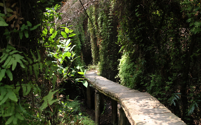 Tour Đồng Tháp, Tour khởi hành đi Đồng Tháp, Du Lịch Đồng Tháp, Tour du lịch Đồng Tháp, Lịch trình tour đi Đồng Tháp, Tour Đồng Tháp ghép đoàn, Tour đi Đồng Tháp, Du lịch Đồng Tháp uy tín, Tour Đồng Tháp cuối tuần