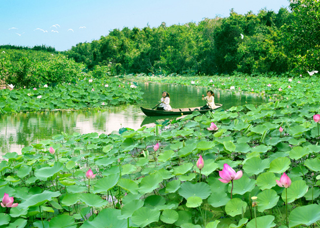 Tour Đồng Tháp, Tour khởi hành đi Đồng Tháp, Du Lịch Đồng Tháp, Tour du lịch Đồng Tháp, Lịch trình tour đi Đồng Tháp, Tour Đồng Tháp ghép đoàn, Tour đi Đồng Tháp, Du lịch Đồng Tháp uy tín, Tour Đồng Tháp cuối tuần