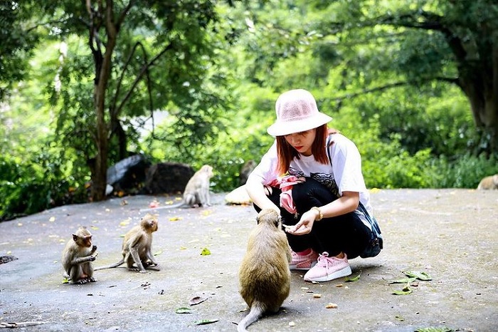 Tour du lịch hè, tour hè 2023, tour du lịch từ Hải Dương, tour du lịch CÁT BÀ