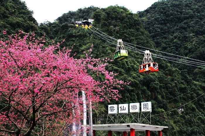 Kinh nghiệm du lịch Đài Loan, kinh nghiệm ngắm hoa anh đào tại Đài Loan, Tour ngắm hoa anh đào tại Đài Loan, chi phí ngắn hoa anh đào tại Đài Loan