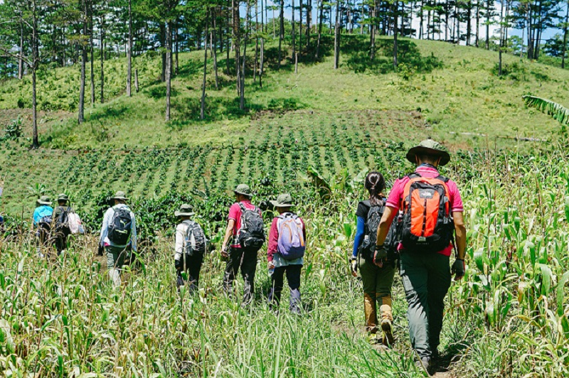 Tour trekking Bidoup Núi Bà Đà Lạt