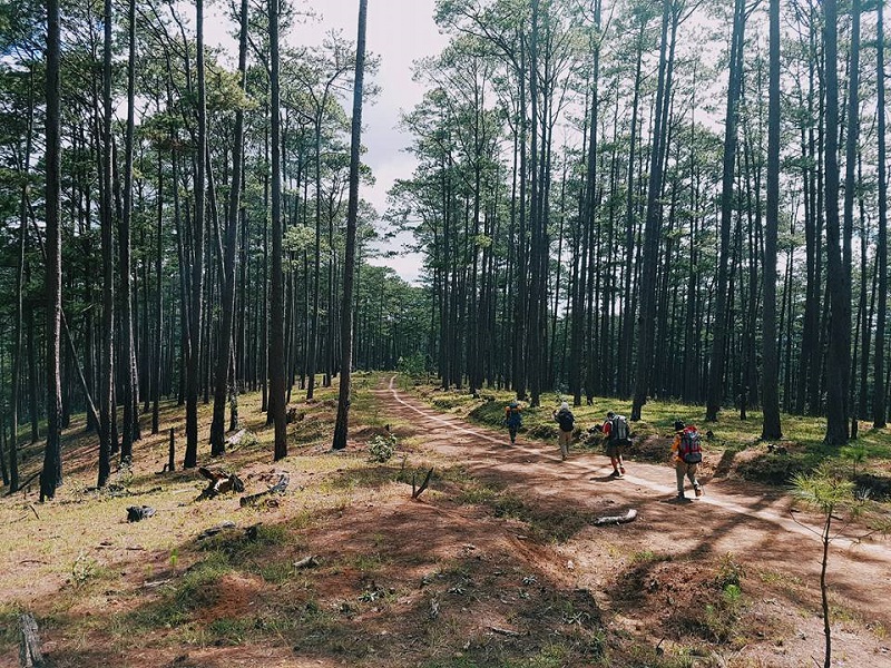 Tour trekking Bidoup Núi Bà Đà Lạt