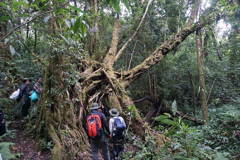 Tour trekking Bidoup Núi Bà Đà Lạt