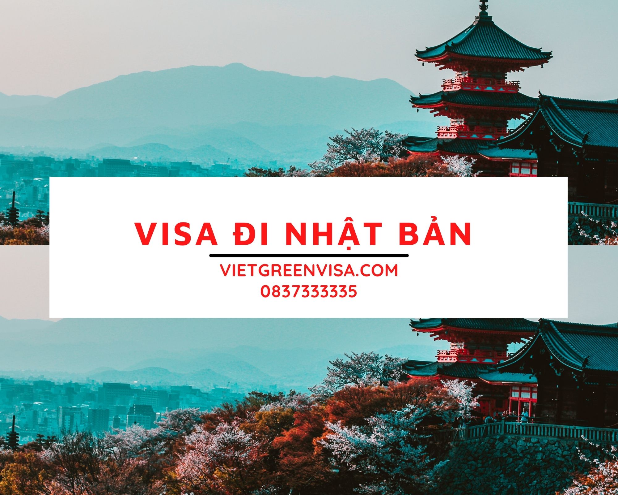 Dịch vụ xin Visa Nhật Bản trọn gói. Du Lịch Xanh 