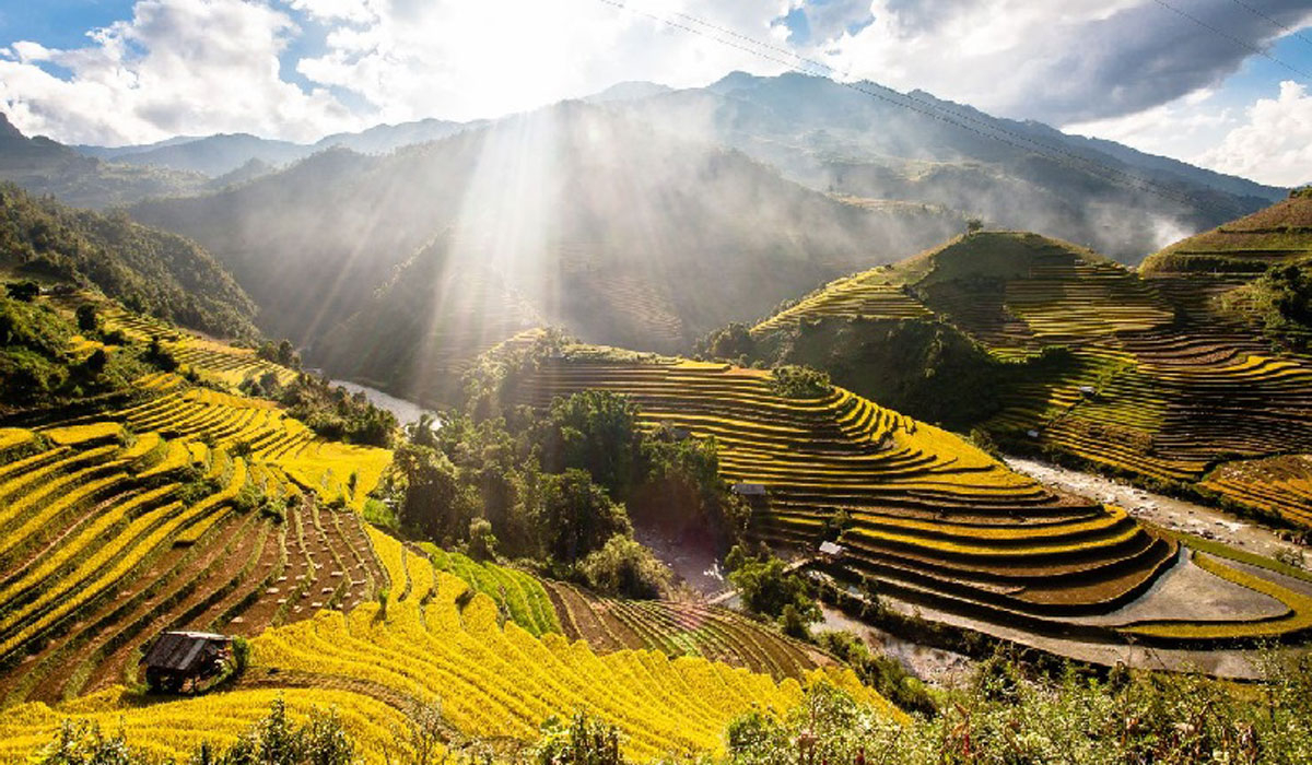 Tour Hồ Chí Minh Mù Cang Chải 5 ngày, Tour Mù Cang Chải 5 ngày, Du lịch Mù Cang Chải, Du Lịch Xanh